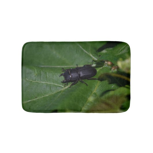 Dorcus parallelipedus, de kleine kever badmat (Voorkant)