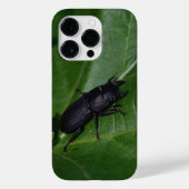 Dorcus parallelipedus, de kleine kever Case-Mate iPhone case (Achterkant)