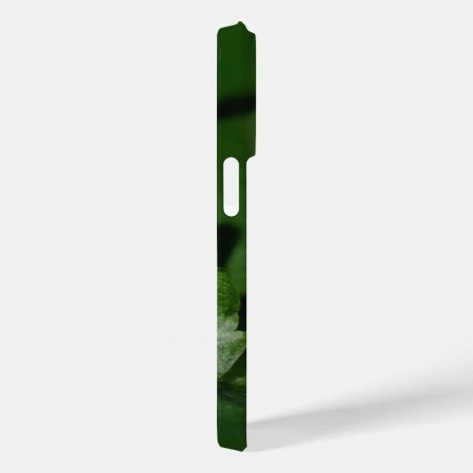 Dorcus parallelipedus, de kleine kever Case-Mate iPhone case (Achterkant / Rechts)