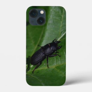 Dorcus parallelipedus, de kleine kever iPhone 13 mini hoesje