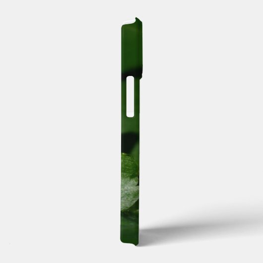 Dorcus parallelipedus, de kleine kever Case-Mate iPhone case (Achterkant / Rechts)