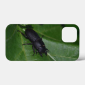 Dorcus parallelipedus, de kleine kever Case-Mate iPhone case (Achterkant (horizontaal))