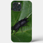 Dorcus parallelipedus, de kleine kever Case-Mate iPhone case (Achterkant)