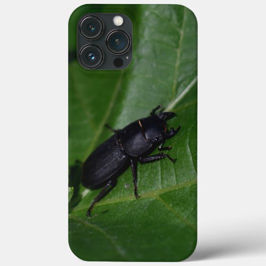 Dorcus parallelipedus, de kleine kever Case-Mate iPhone case (Achterkant)