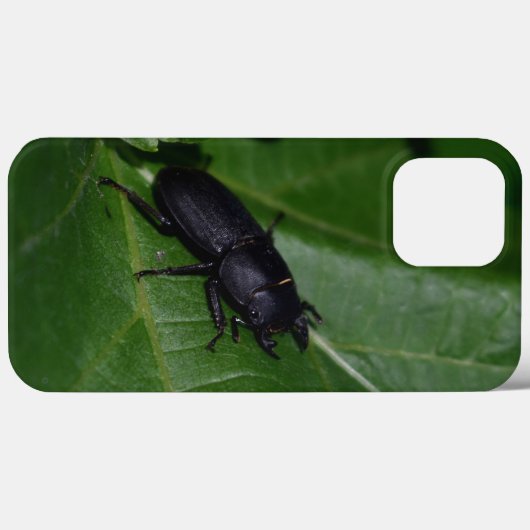 Dorcus parallelipedus, de kleine kever Case-Mate iPhone case (Achterkant (horizontaal))