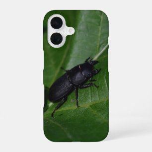 Dorcus parallelipedus, de kleine kever iPhone 16 hoesje
