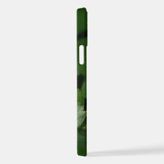 Dorcus parallelipedus, de kleine kever iPhone hoesje (Rechterkant)