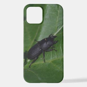 Dorcus parallelipedus, de kleine kever iPhone 12 hoesje