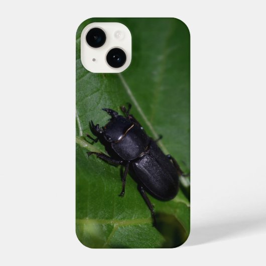 Dorcus parallelipedus, de kleine kever iPhone hoesje (Achterkant)