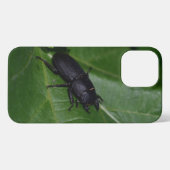 Dorcus parallelipedus, de kleine kever iPhone hoesje (Achterkant horizontaal)