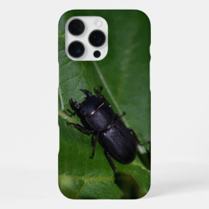 Dorcus parallelipedus, de kleine kever iPhone 16 pro max hoesje