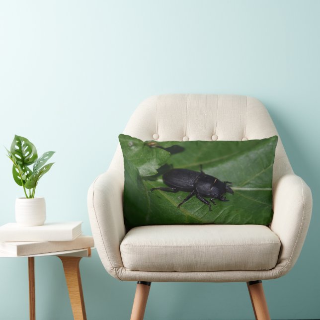 Dorcus parallelipedus, de kleine kever kussen (Stoel)