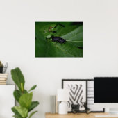 Dorcus parallelipedus, de kleine kever poster (Thuiskantoor)