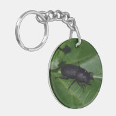 Dorcus parallelipedus, de kleine kever sleutelhanger (Voorkant Links)