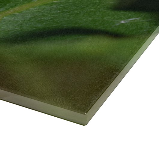 Dorcus parallelipedus, de kleine kever snijplank (Hoek)