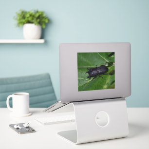 Dorcus parallelipedus, de kleine kever sticker