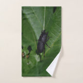 Dorcus parallelipipedus, le moindre dendroctone du (Serviette à main)