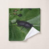 Dorcus parallelipipedus, le moindre dendroctone du (Gant de toilette)