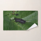 Dorcus parallelipipedus, le moindre dendroctone du (Serviette à main)