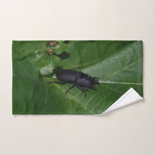 Dorcus parallelipipedus, le moindre dendroctone du (Serviette à main)