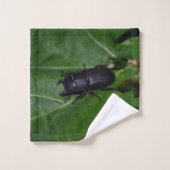 Dorcus parallelipipedus, le moindre dendroctone du (Gant de toilette)