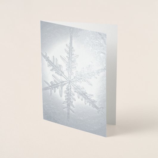 Dorée Carte de flocon à neige à huile d'argent (Devant)