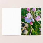 Dorée Carte de Noël de l'ornement Cape Cod (Intérieur)