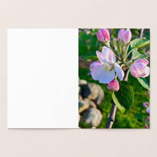 Dorée Carte de Noël de l'ornement Cape Cod (Intérieur)