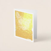 Dorée Carte de note d'huile d'huile d'olive Face Cat (Devant)