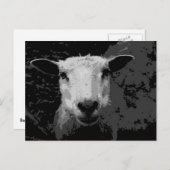 Doris de schapen briefkaart (Voorkant / Achterkant)