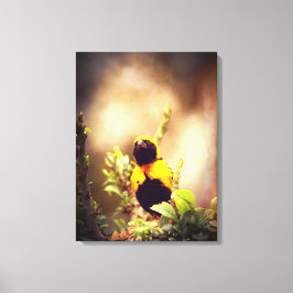Dorpswever Canvas Afdruk