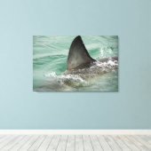 Dorsal aileron van een Witte haai Canvas Afdruk (Insitu (Houten vloer))