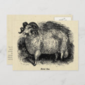 Dorset Briefkaart (Voorkant / Achterkant)