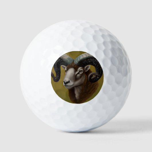 Dorset Horn Ram Golfballen (Voorkant)