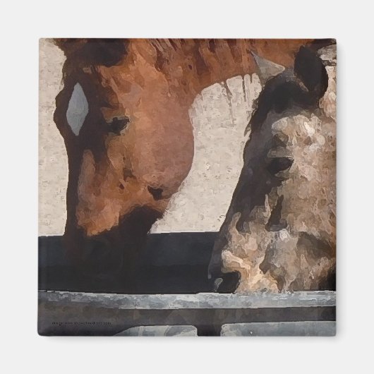 Dorstige Paarden Drinken bij de Watertrog Magneet (Voorkant)