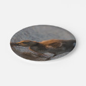 Dorsty Baby Papieren Bordje (Gekanteld)