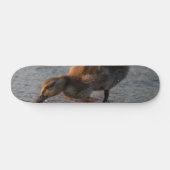 Dorsty Baby Skateboard (Horizontaal)
