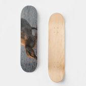 Dorsty Baby Skateboard (Voorkant)