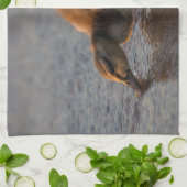 Dorsty Baby Theedoek (Gevouwen)