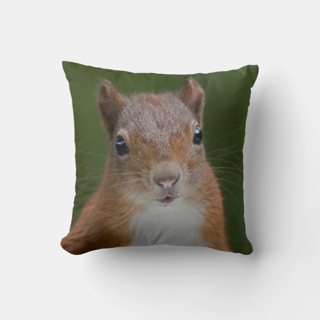 Dorsty Squirrel Pillow Kussen (Voorkant)