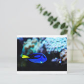 Dory, Blue Tang Fish Briefkaart (Staand voorkant)