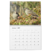 Dos Yard Birds !  CALENDRIER DE L'Oiseau (Jan 2027)