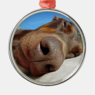 Dosisneus Metalen Ornament