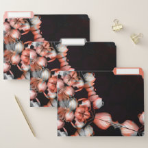 "Coeur blanc en noir du soleil"