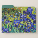 Dossier Irises par Vincent van Gogh<br><div class="desc">Irises par Vincent van Gogh,  1889.</div>