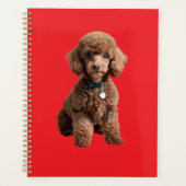 Dossier rouge de caniche jouet mignon (Devant)