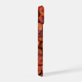 Dossier téléphonique pour les enseignants (Côté droit)