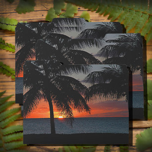 Dossier Tropical Sunset Palm Trees Mer USVI Caraïbes