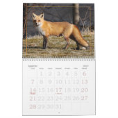 Dot the Fox Kalender (Mar 2027)