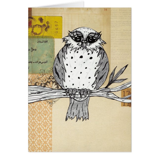 Dotti the Owl 26 (Voorkant)